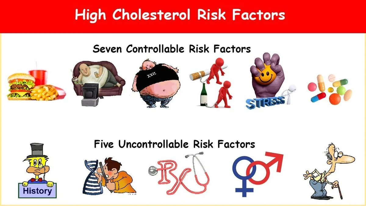 chol risk factors.jpg