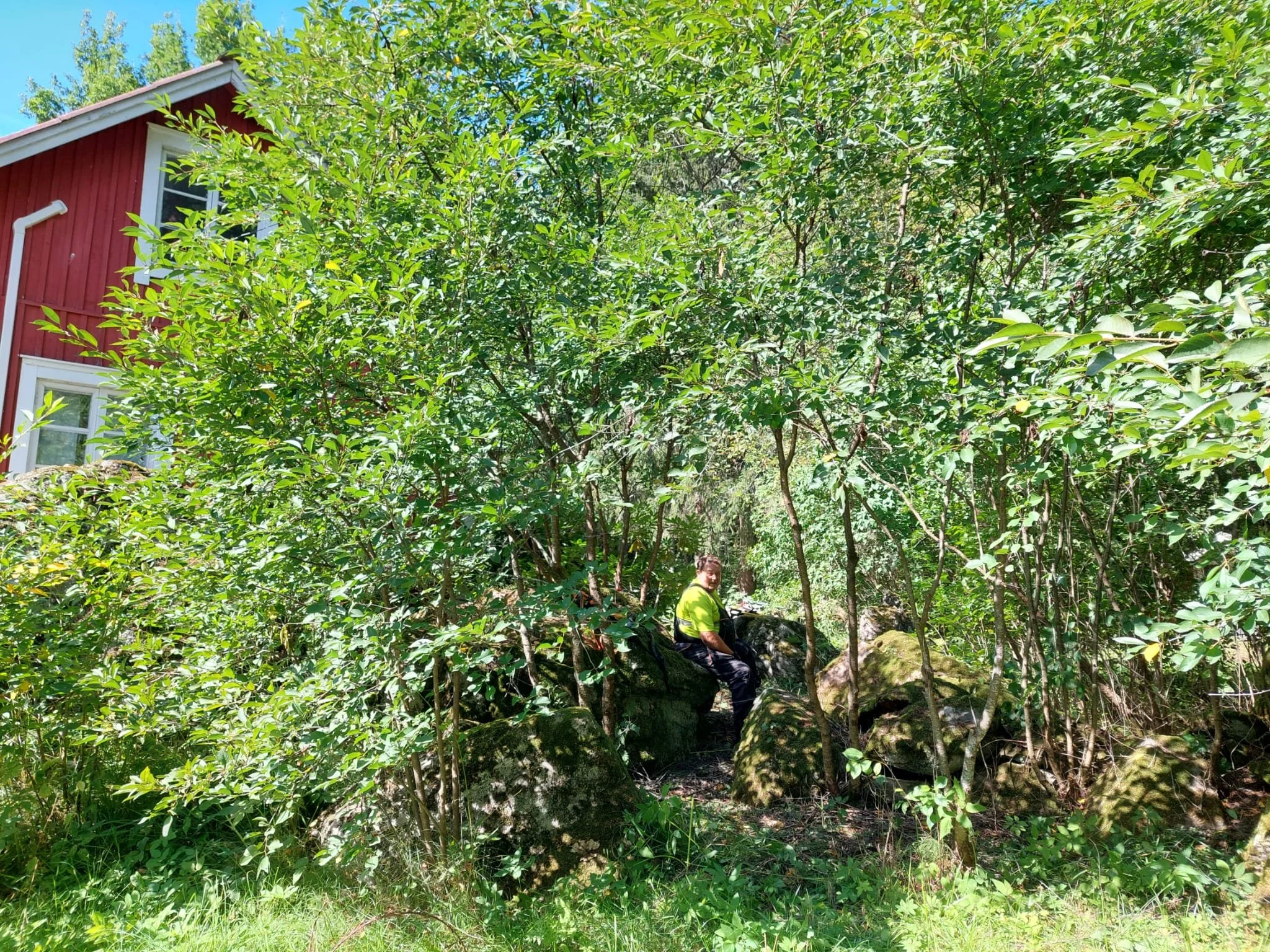 WhatsApp Image 2023-08-16 at 1.48.29 PM.jpeg