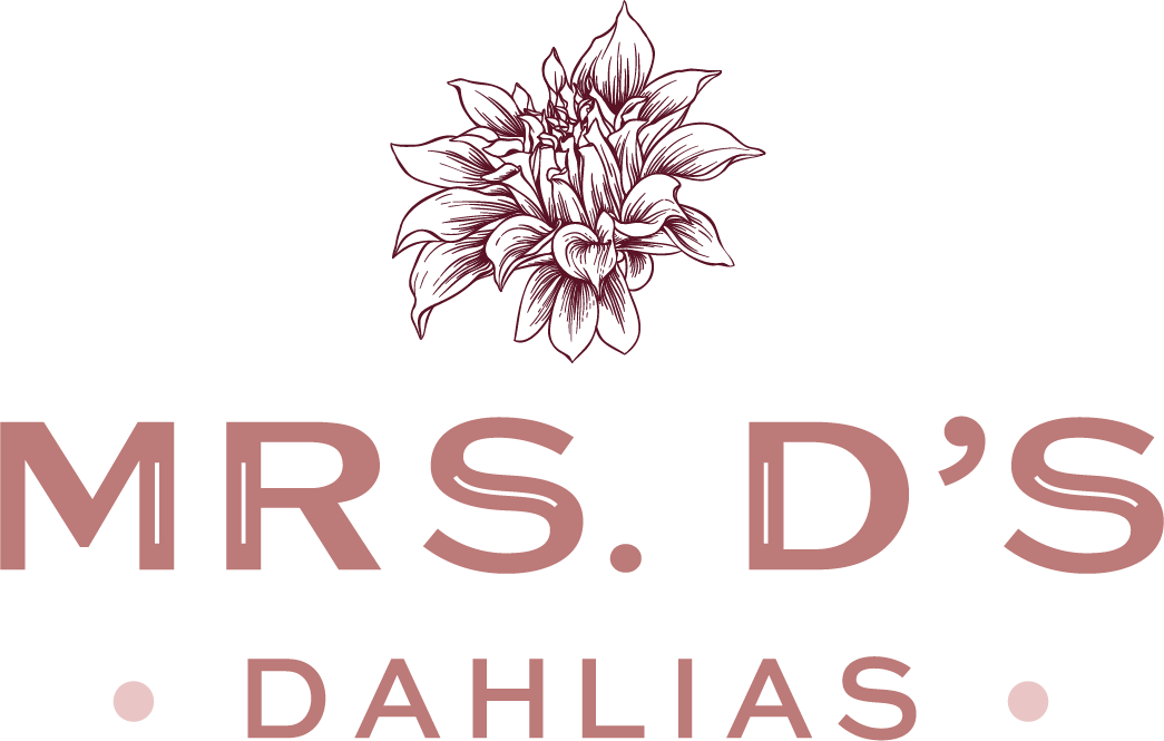 Mrs. D&#39;s Dahlias