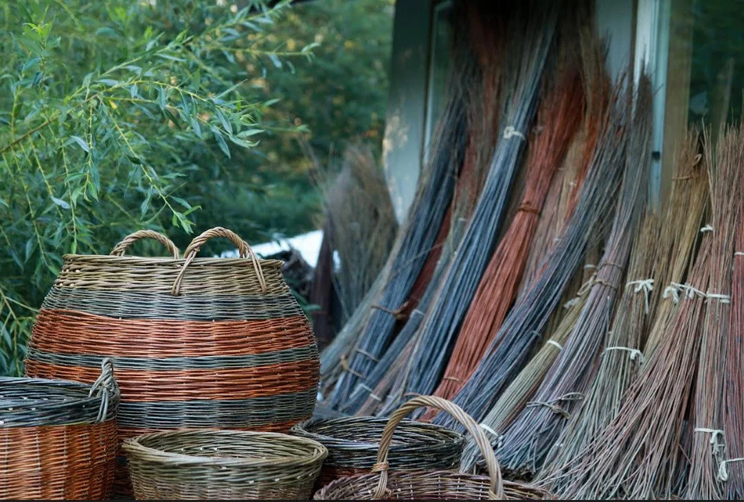 2026 BIPOC Willow Basketry Intensive