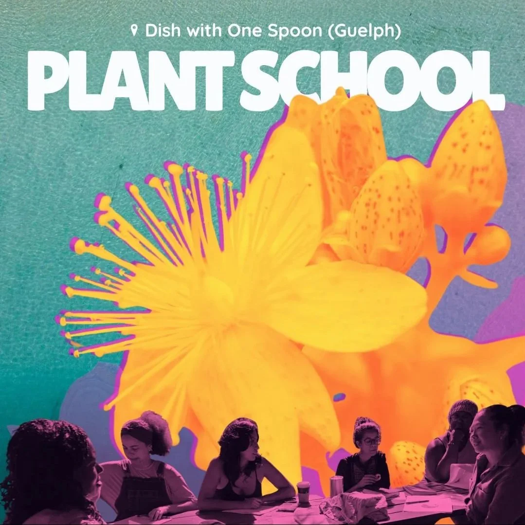 PLANT+SCHOOL+2026.jpg