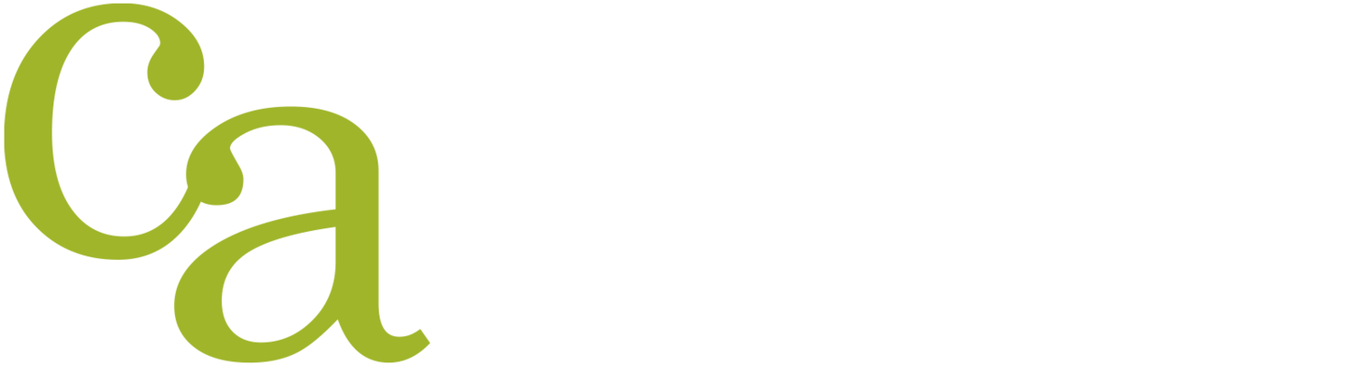 Christchurch Accountants