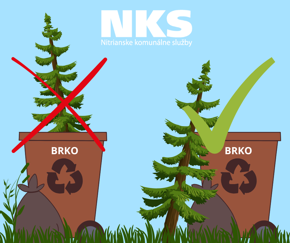 Oznam o&nbsp;vývoze vianočných stromčekov