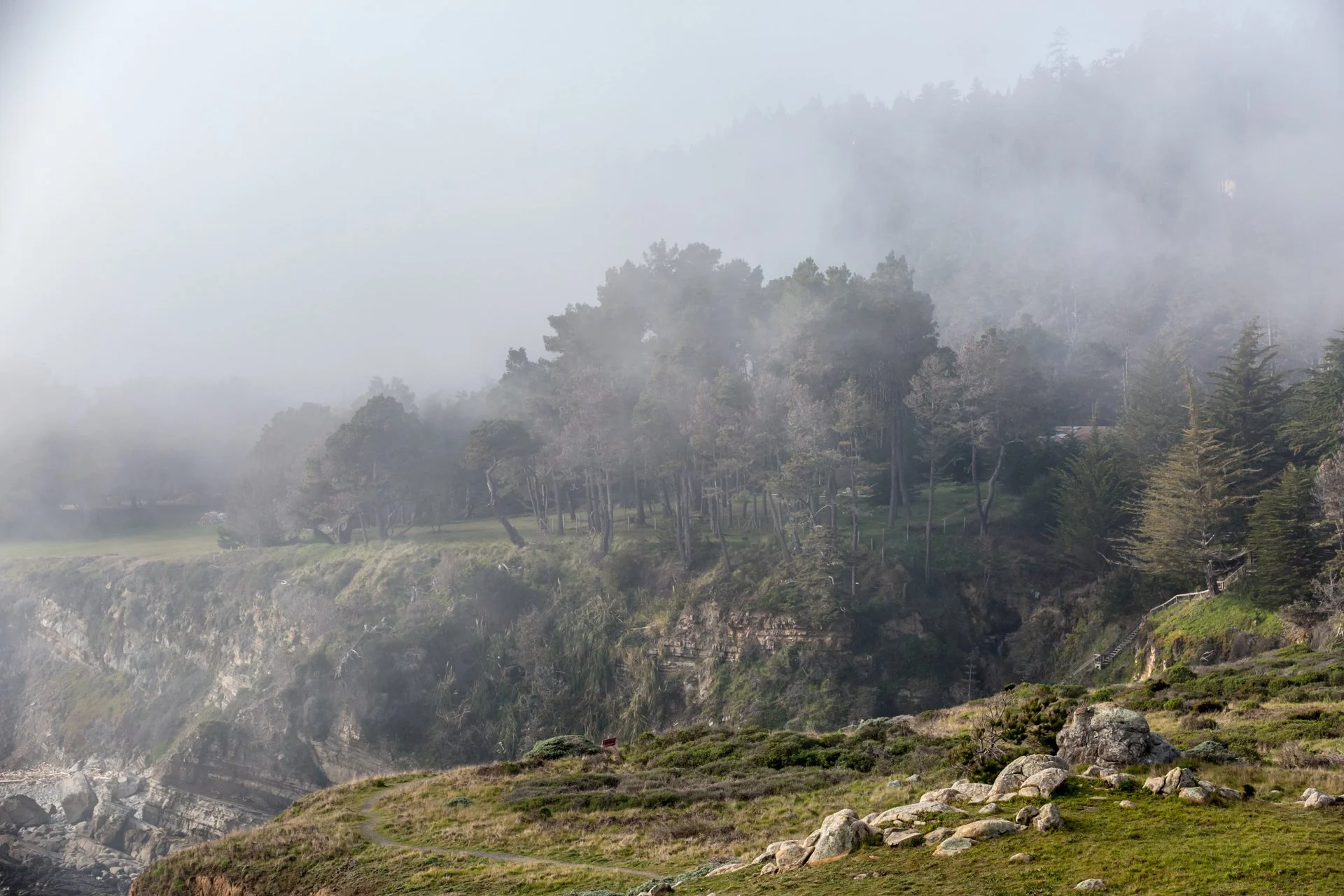 TImber Cove - Landscape146.jpg