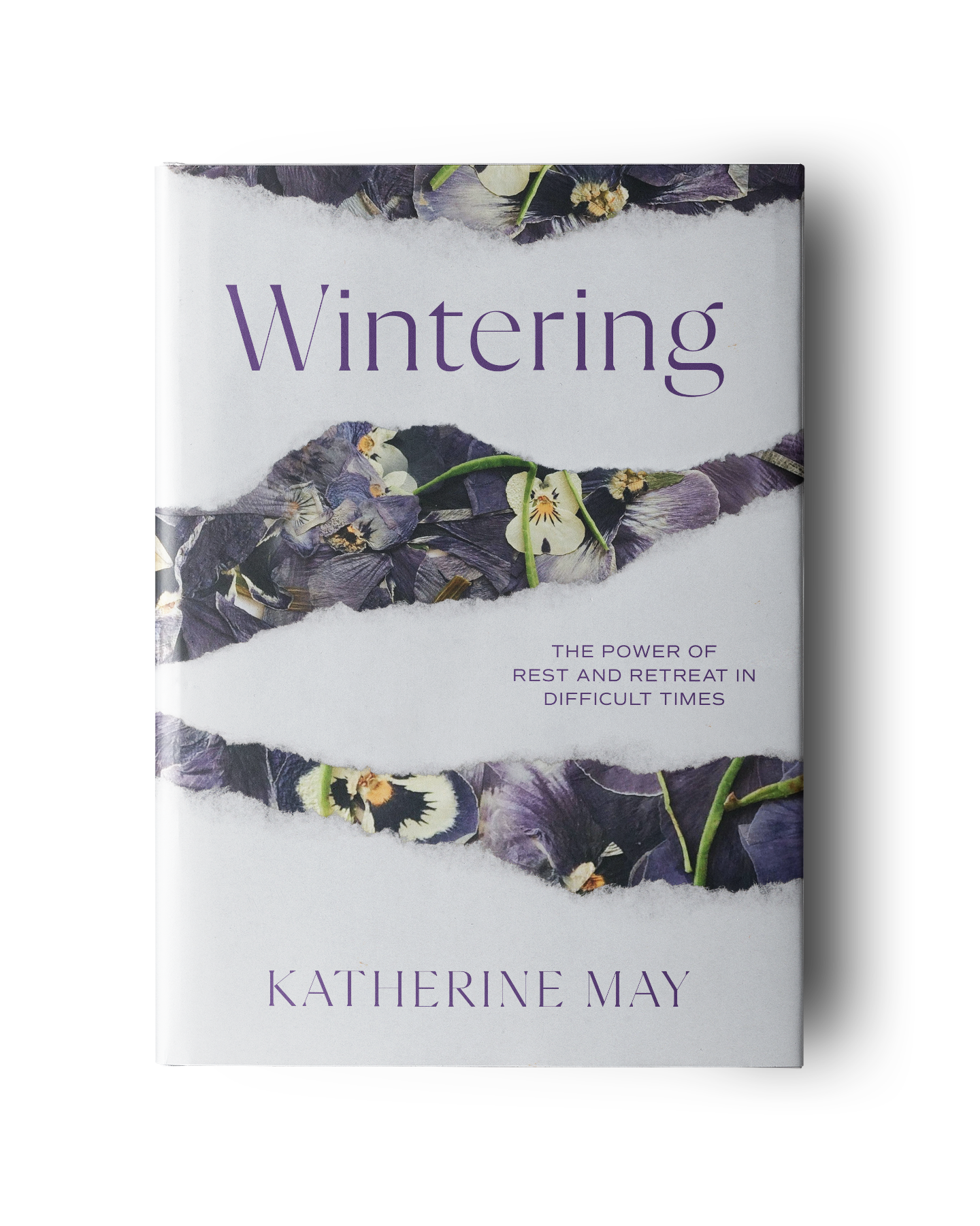 NP-BookCover_mockup_010.png