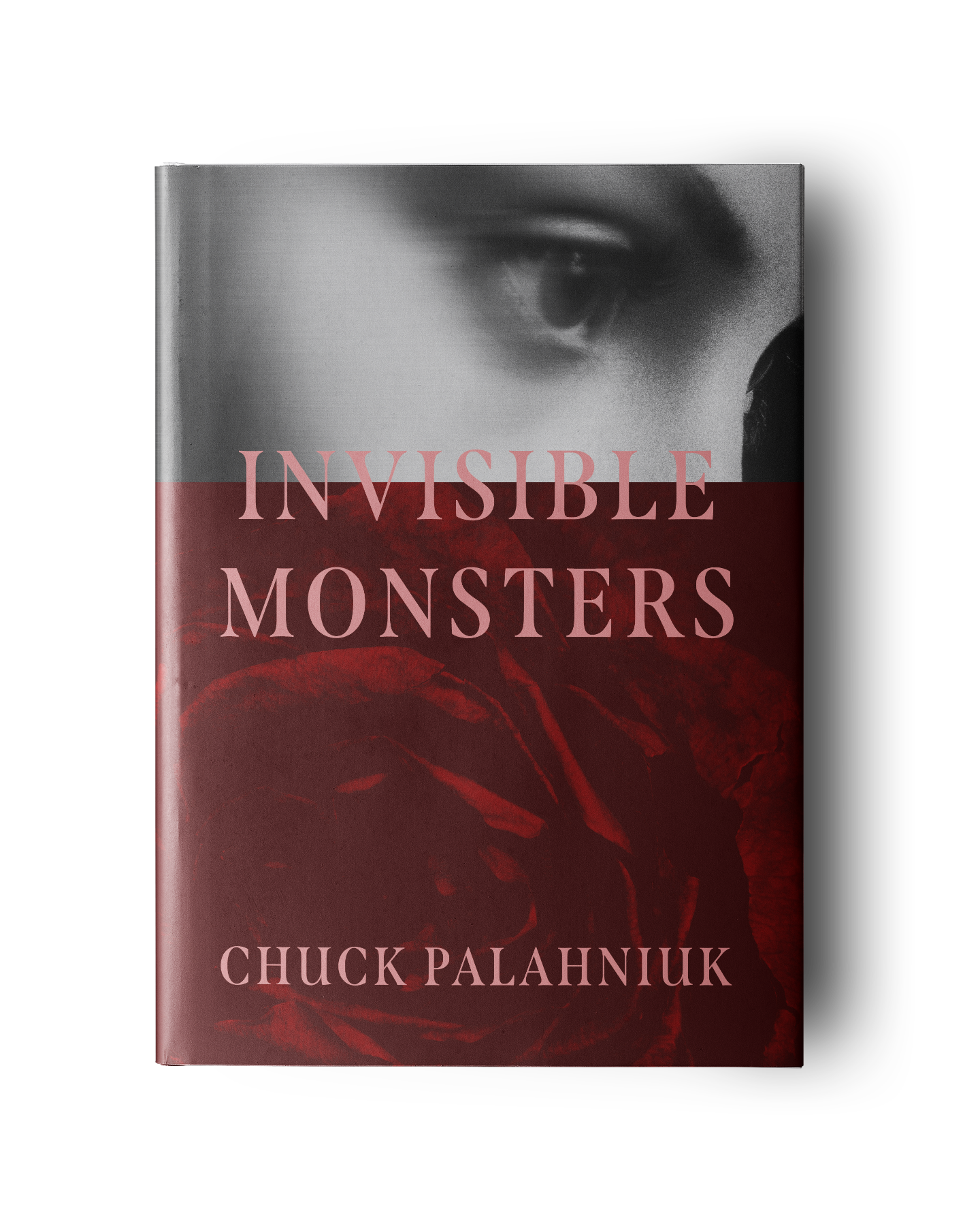 NP-BookCover_mockup_015.png