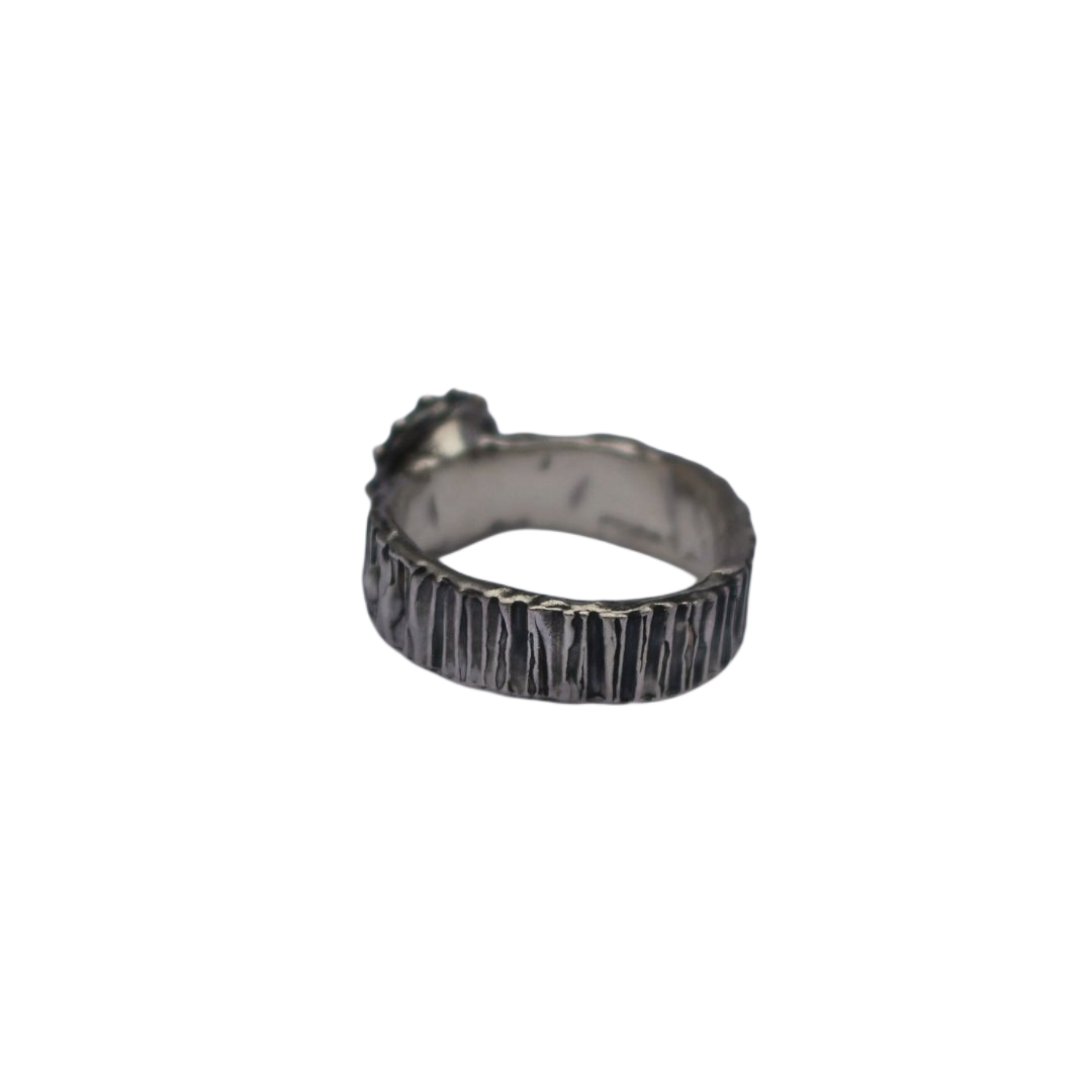 spiral ring silver 9-Picsart-BackgroundRemover.jpg