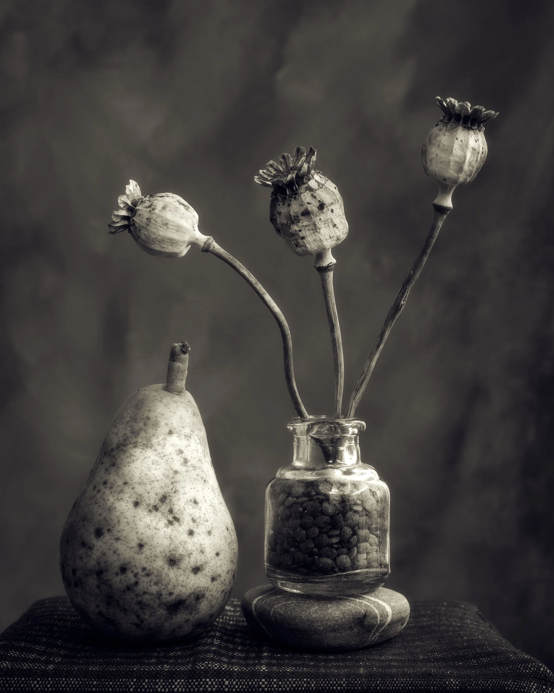 Pear and Poppy Seed Heads