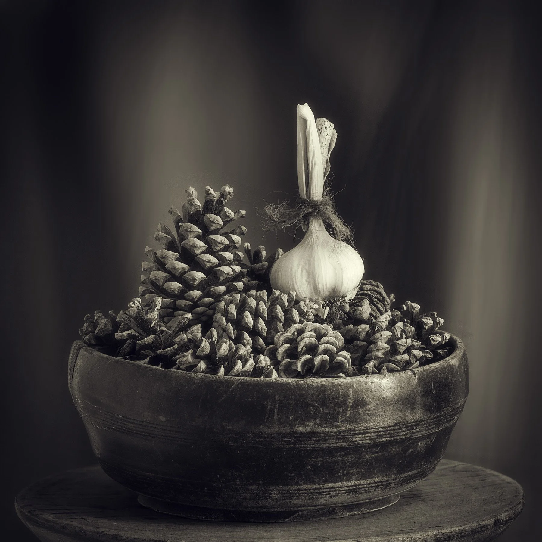 Pine Cones and Garlic