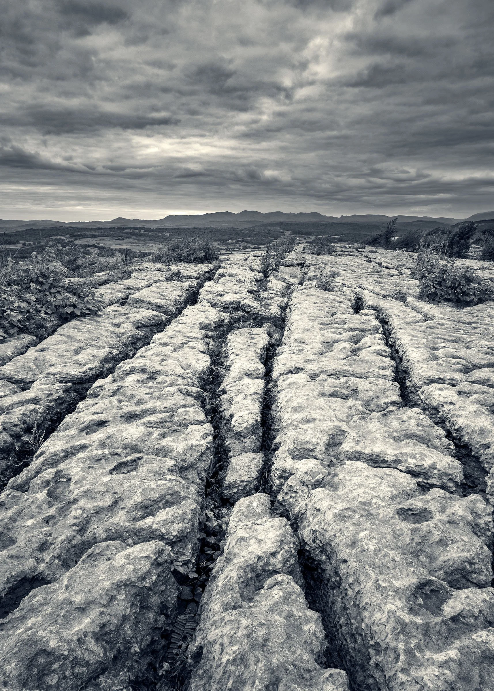Limestone Pavement, Hampsfell