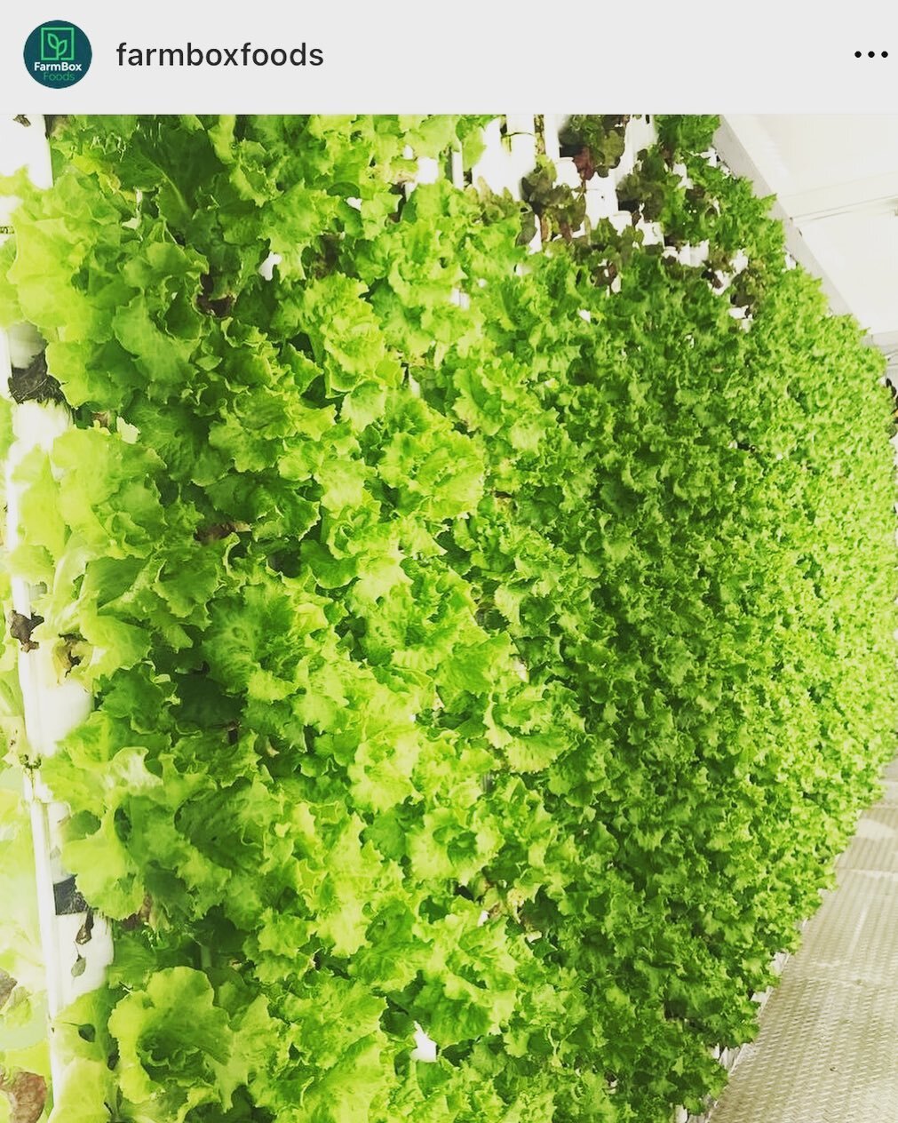 Our container is here and before you know it we will have amazing greens and herbs ready for YOU!  Only a few weeks left to get your end of year donations in, link in profile!  #citygreens #hydroponics #community #hyperlocalproduce #urbanfarming
