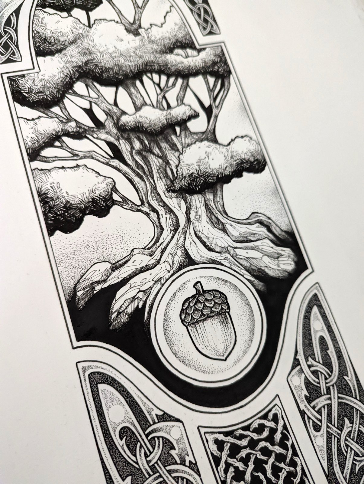 treefocus.jpg