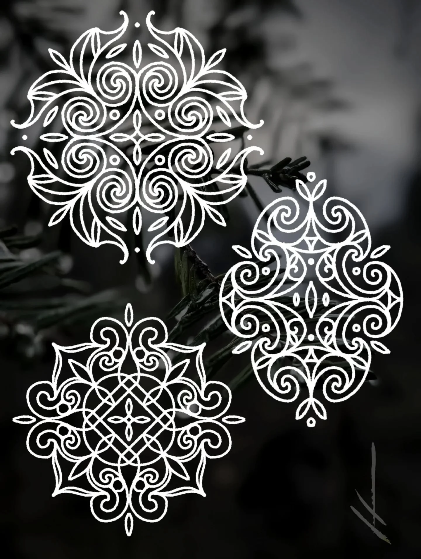 Some new ornaments to welcome the Spring. Can be tattooed in solid black or with dotwork, crisp lines or more natural textures - whatever speaks to you. You can email me at jessijamestattoo@gmail.com or fill out my form at www.jessijames.co.uk/bookin