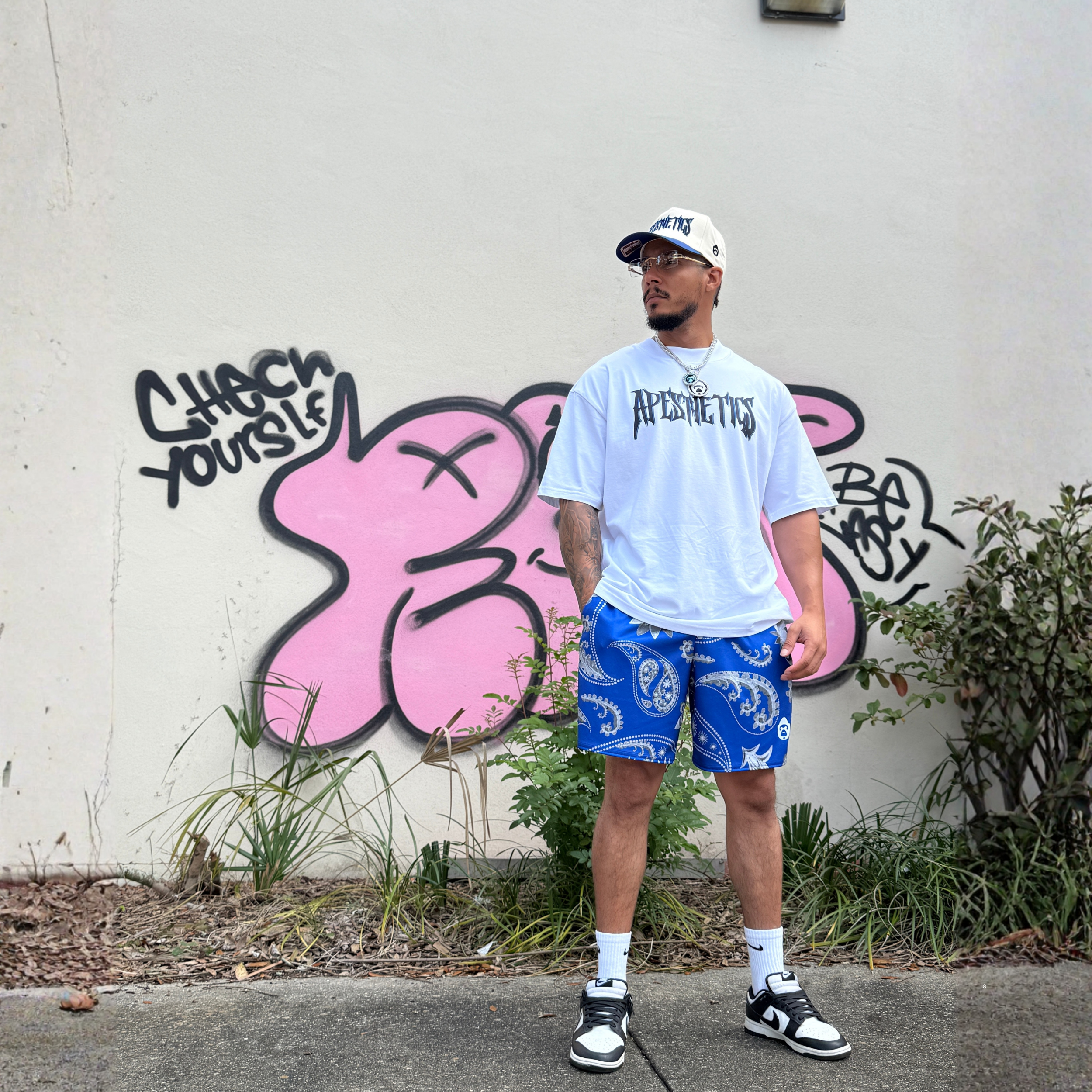 Apesthetics Dueño blue bandana print mesh shorts — men's streetwear