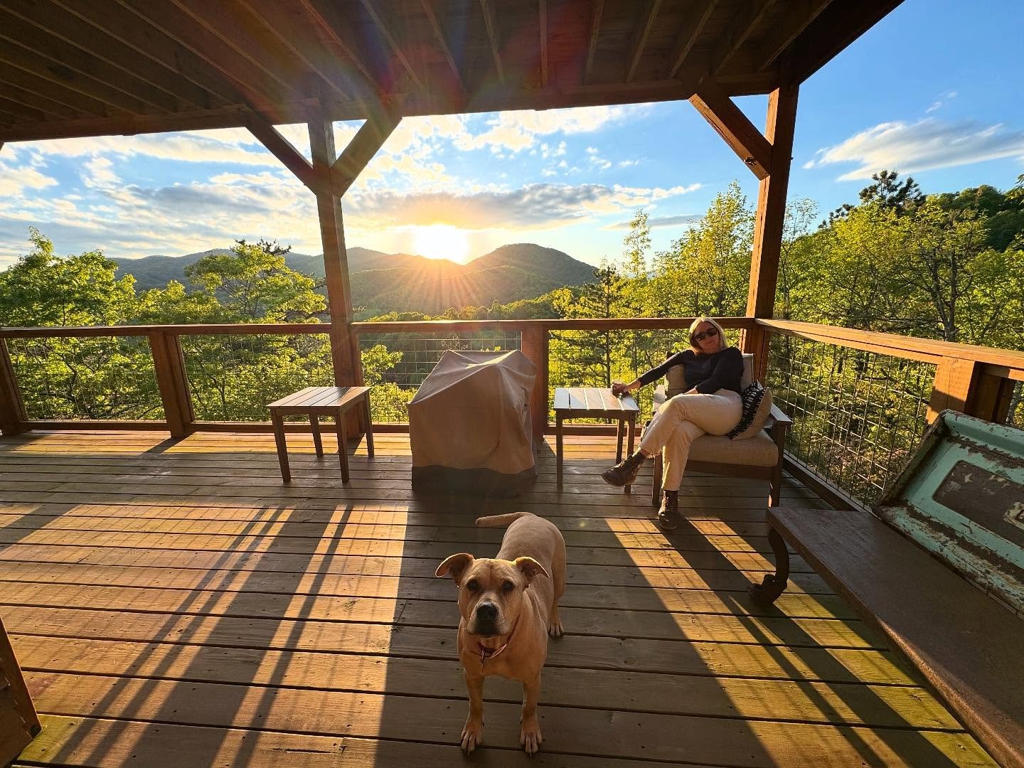 Sunset, Anne, and Champ. #brindle