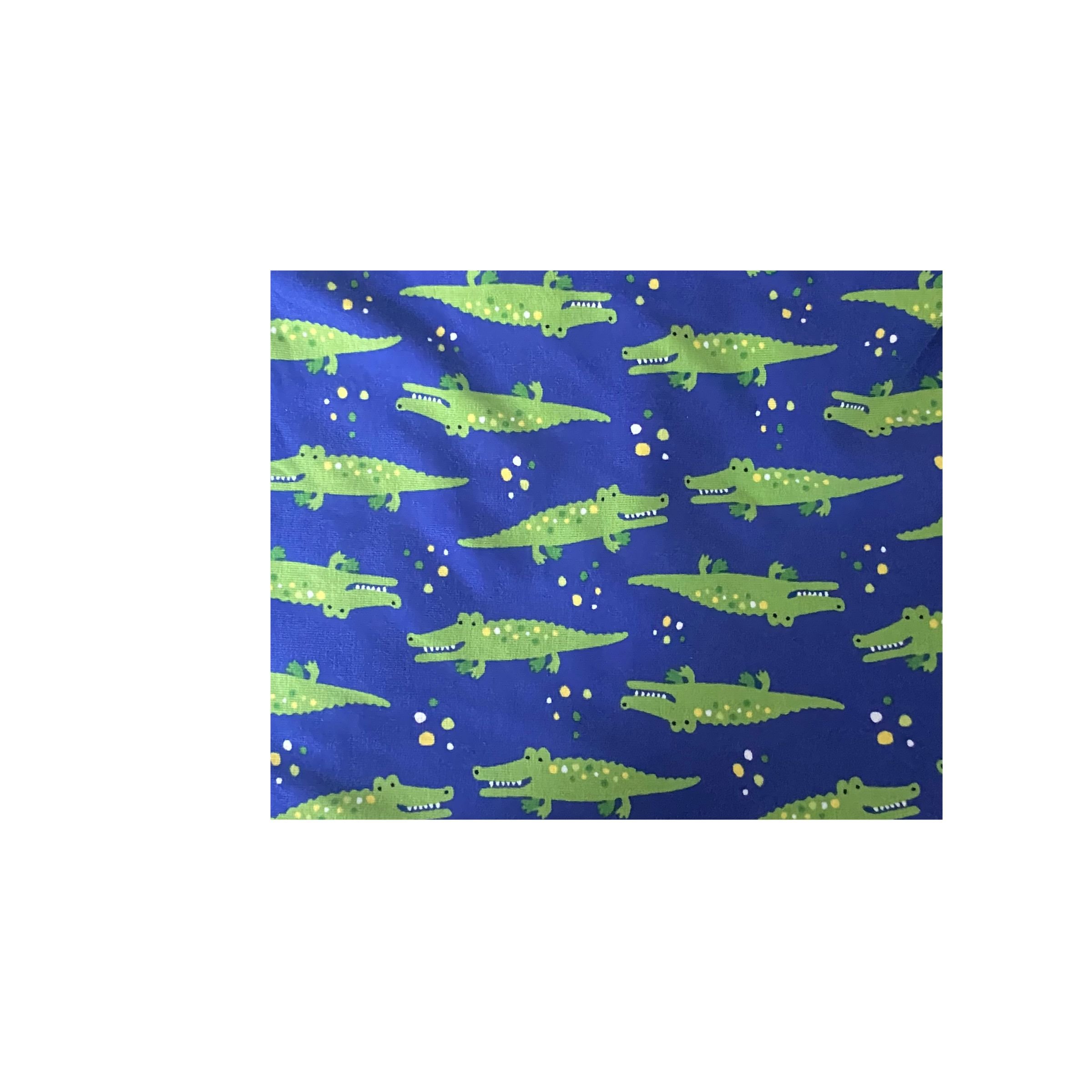 alligator flat.jpg