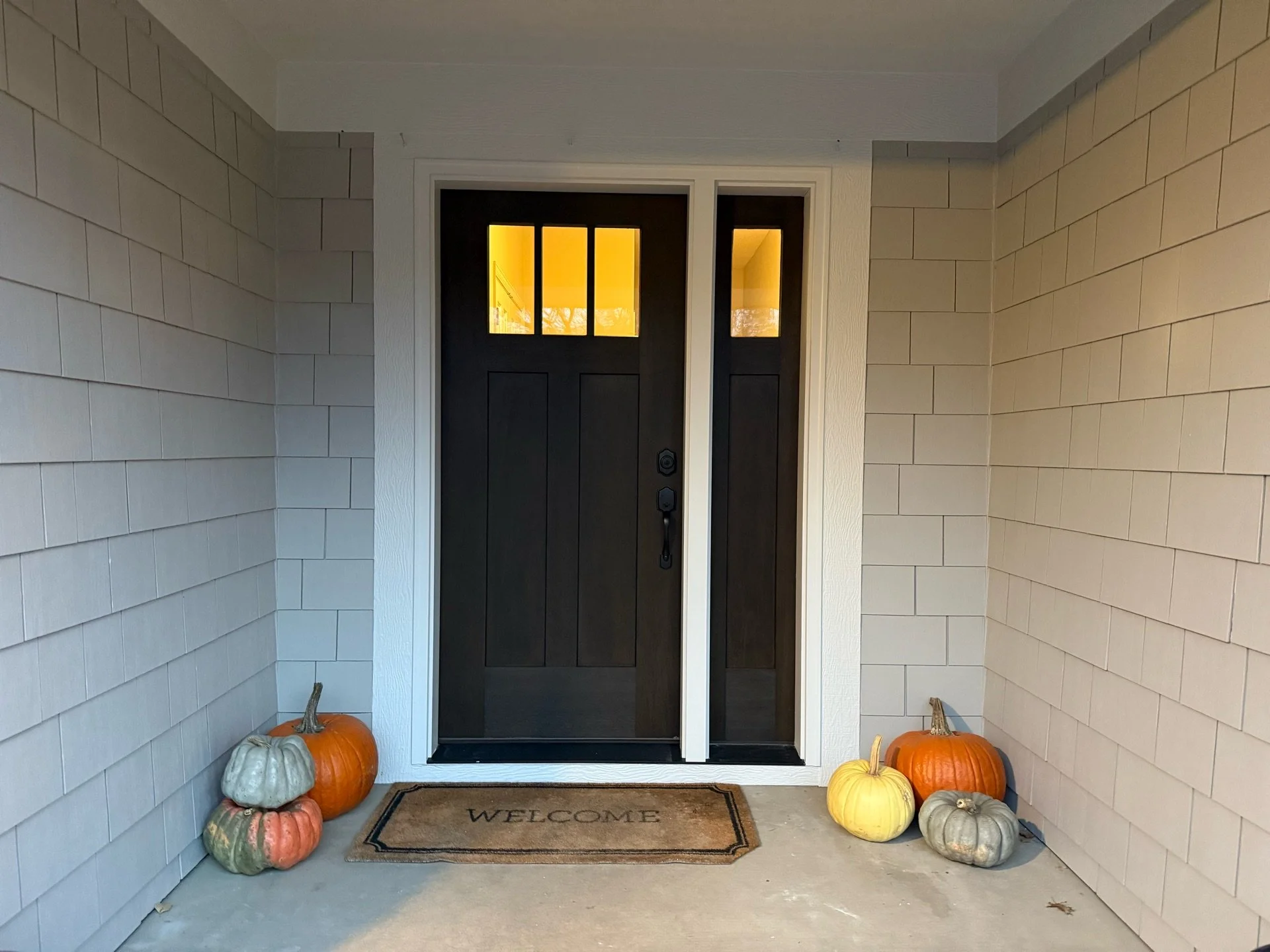 Exterior side entry door with sidelight in Woodbury, MN featuring a stained wood finish, clean lines, and modern curb appeal.