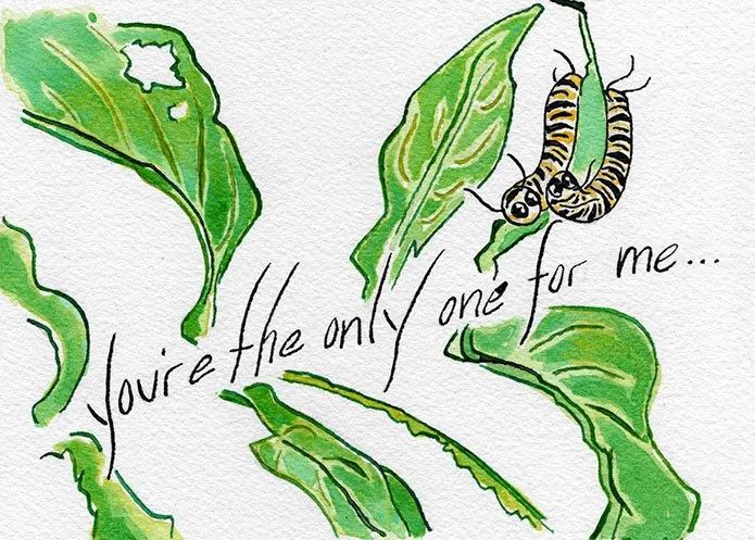 Love/Thinking of You Card