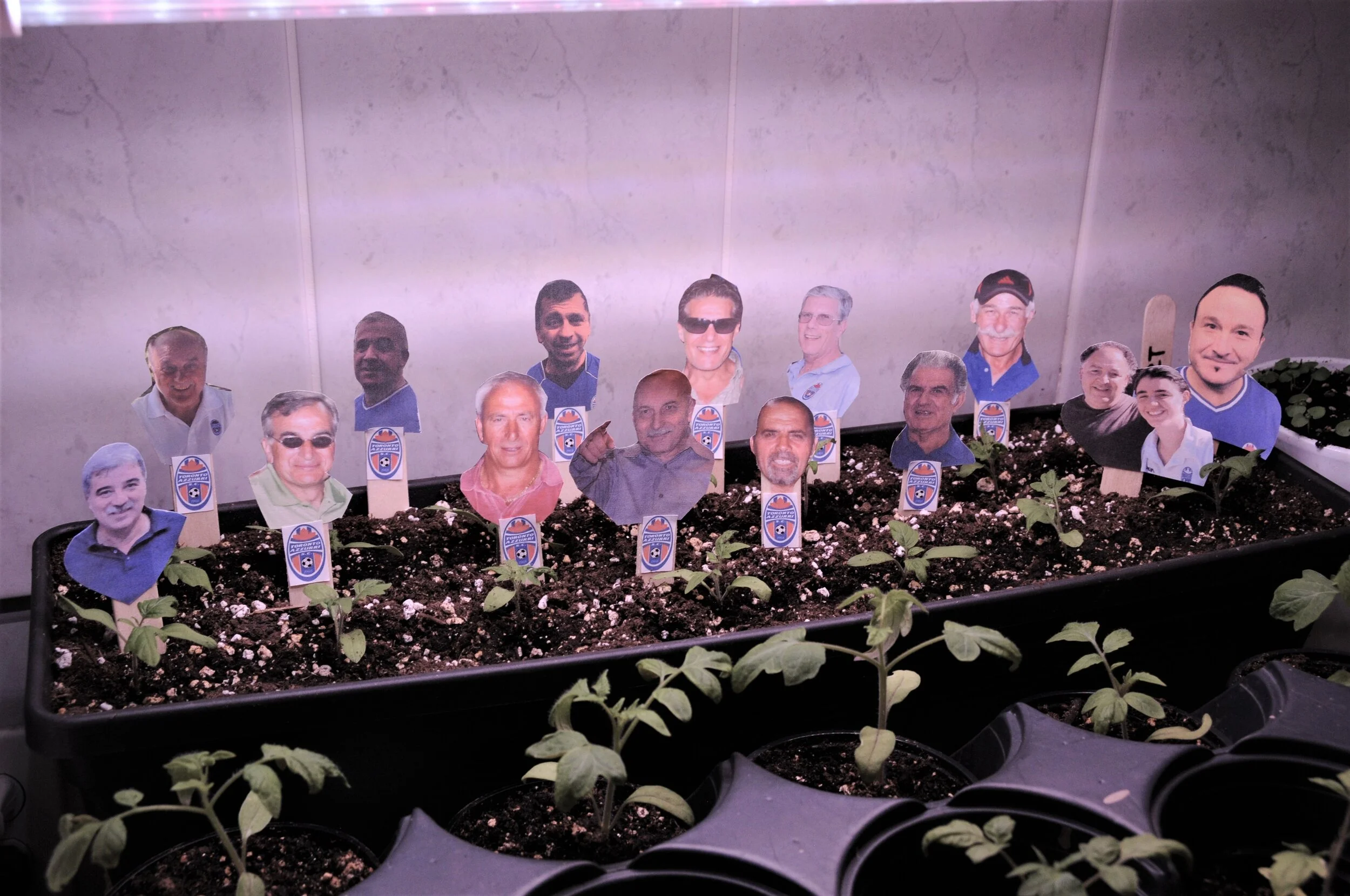 Maledetta primavera, ci ti sei messa anche tu