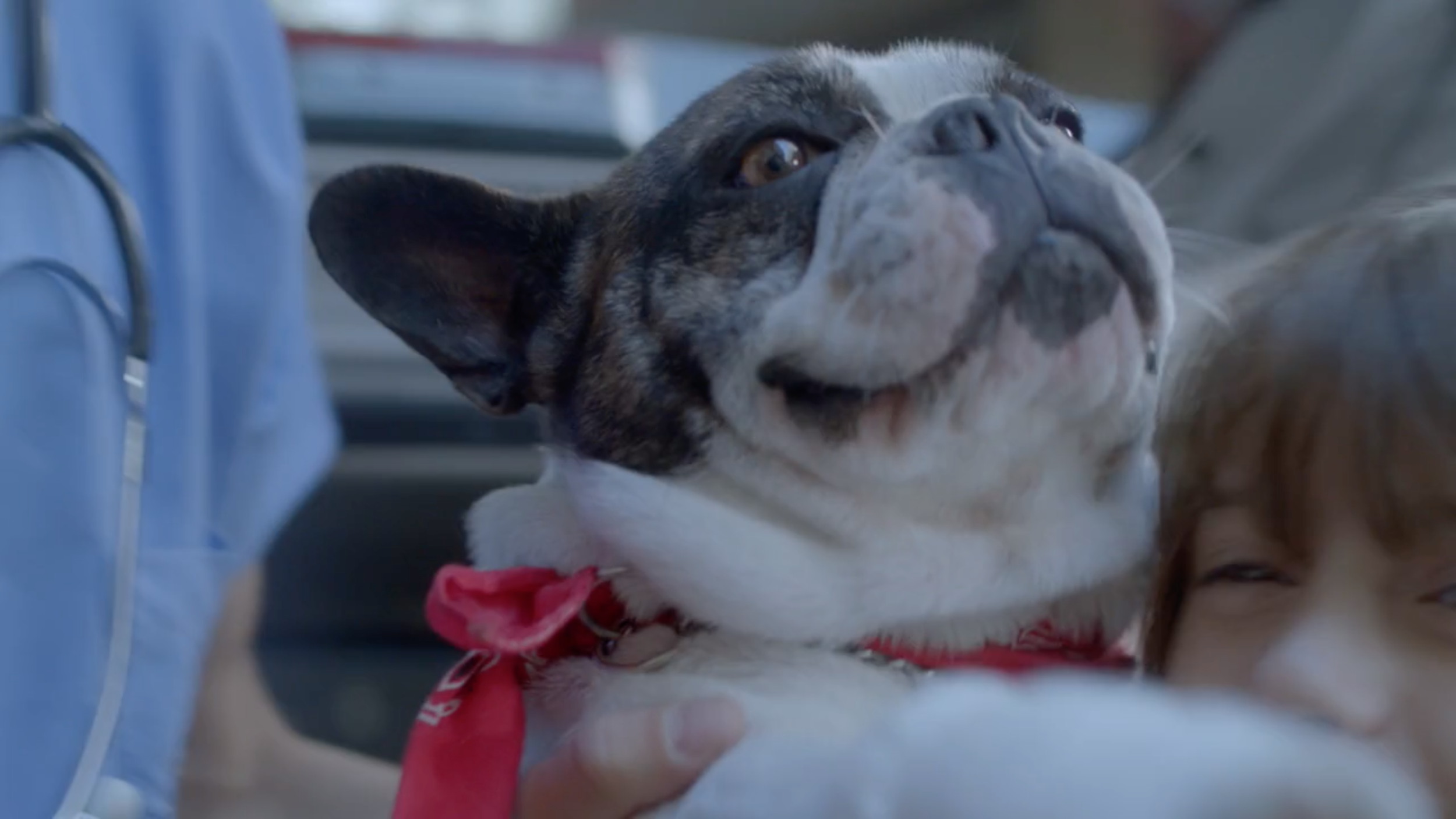 Screen Shot 2020-04-21 at 2.48.04 PM (2).png