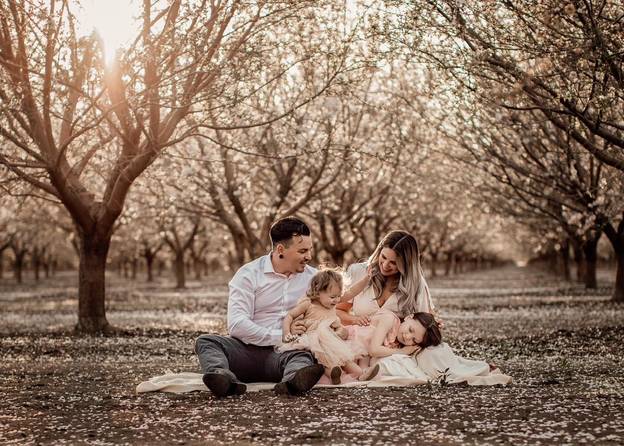 tsaiti orchard.jpeg