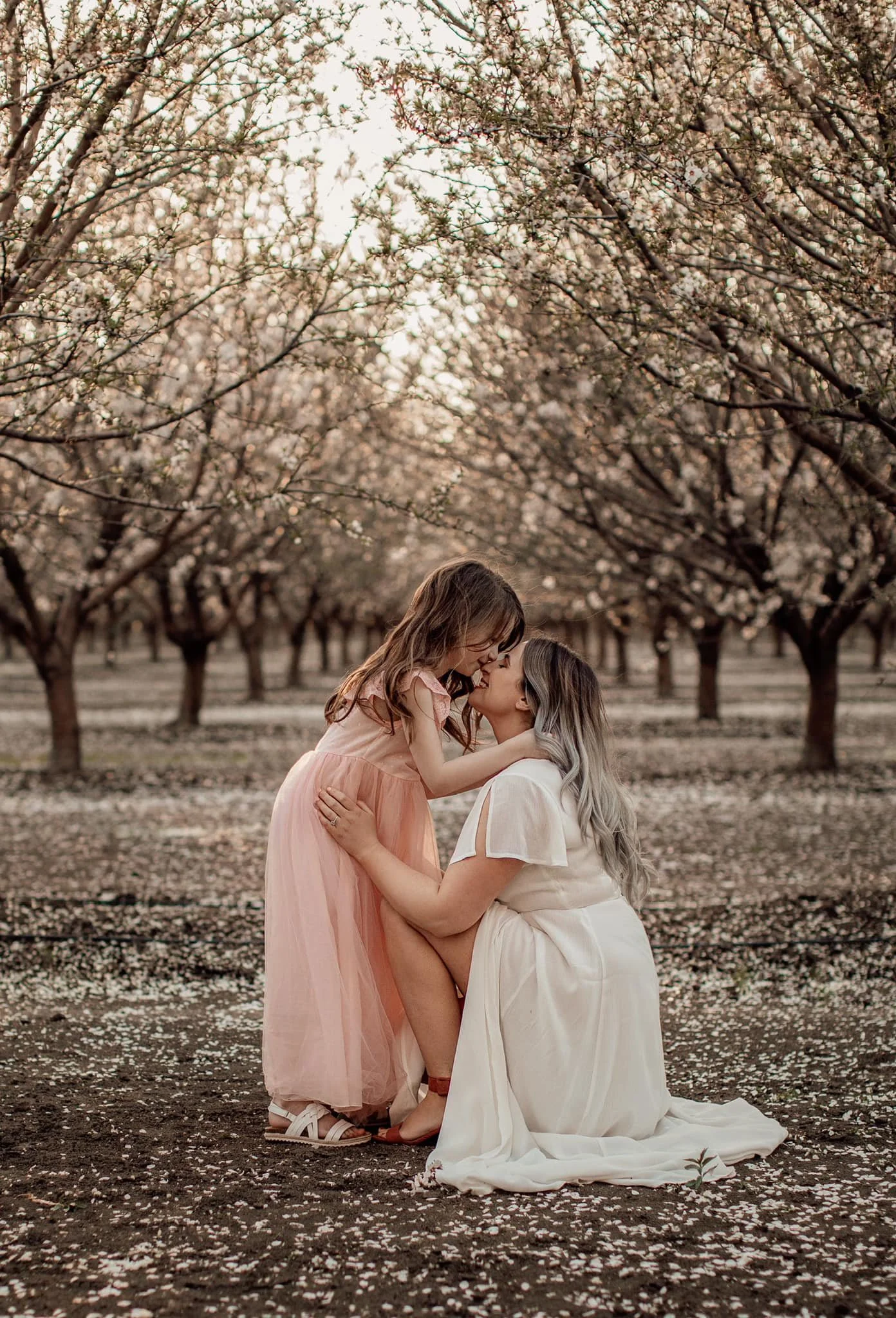 Tsaiti orchard 4.jpeg
