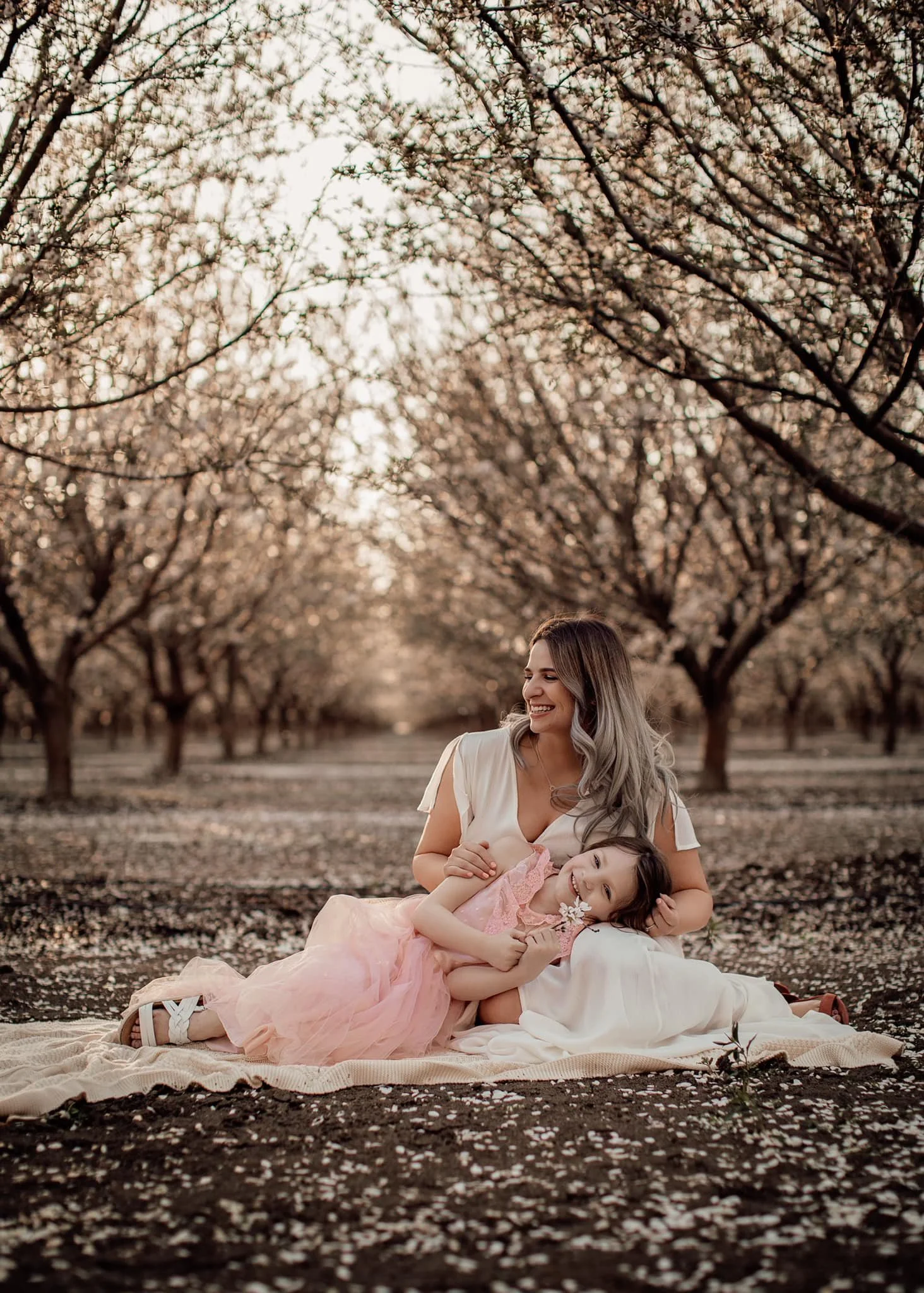 tsaiti orchard 1.jpeg