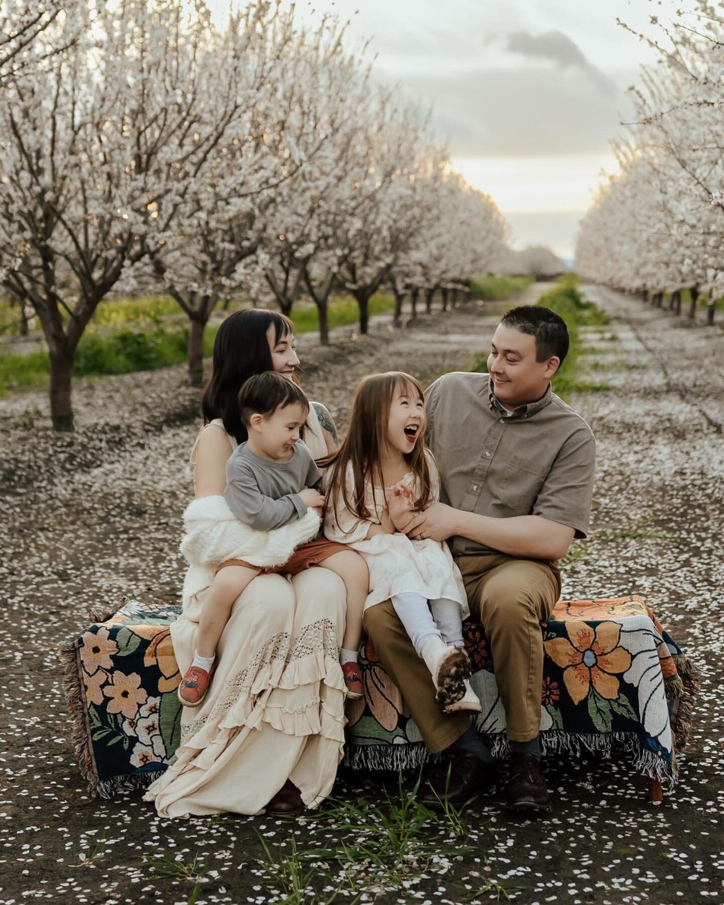 The start of the almond blossom season was absolutely magical! There&rsquo;s something truly special about witnessing the almond trees in full bloom, their delicate blossoms creating a stunning display of nature&rsquo;s beauty. And what better way to