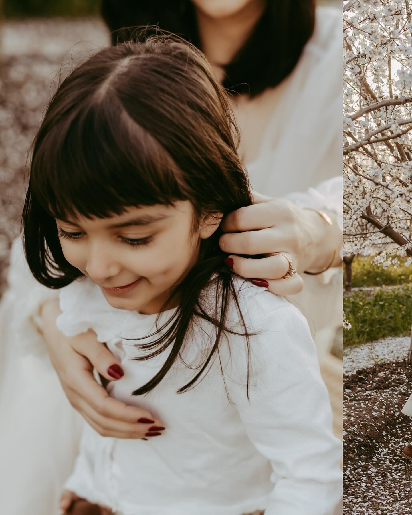The almond orchard was once again transformed into a magical setting for a beautiful family session, filled with love, laughter, and cherished memories. Each family brought their own unique energy and personality to the shoot, creating a tapestry of 