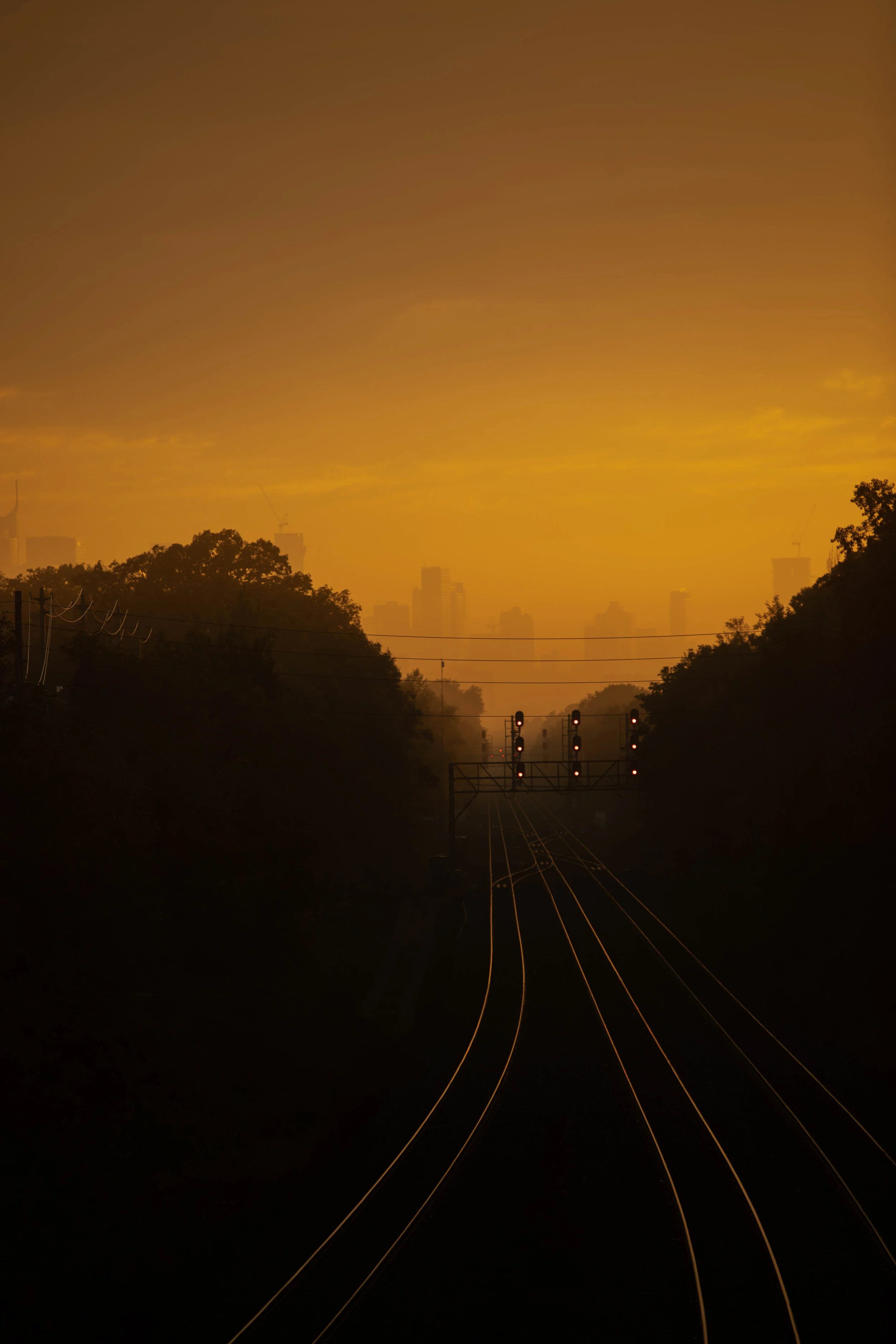 018A5787 - Copy.jpg