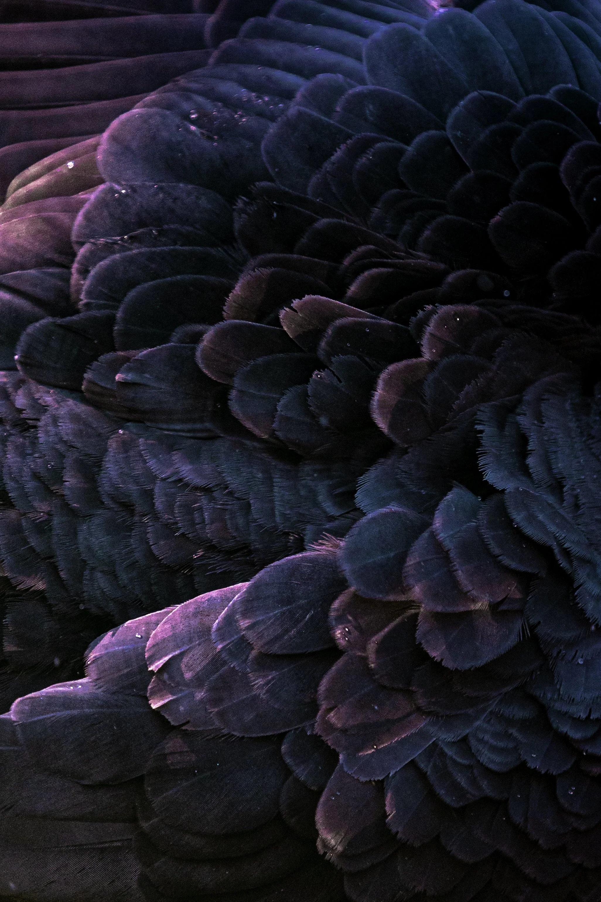 018A9644-3.jpg