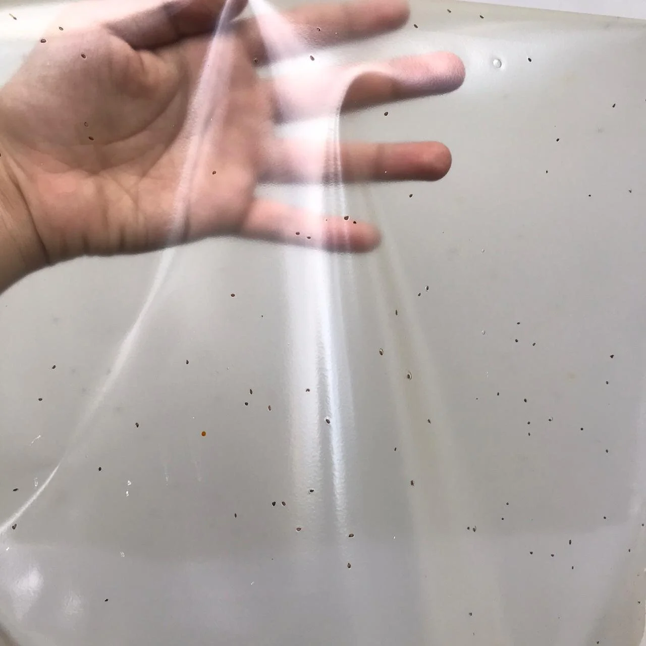 WhatsApp Image 2020-09-08 at 2.24.26 PM (6).jpeg