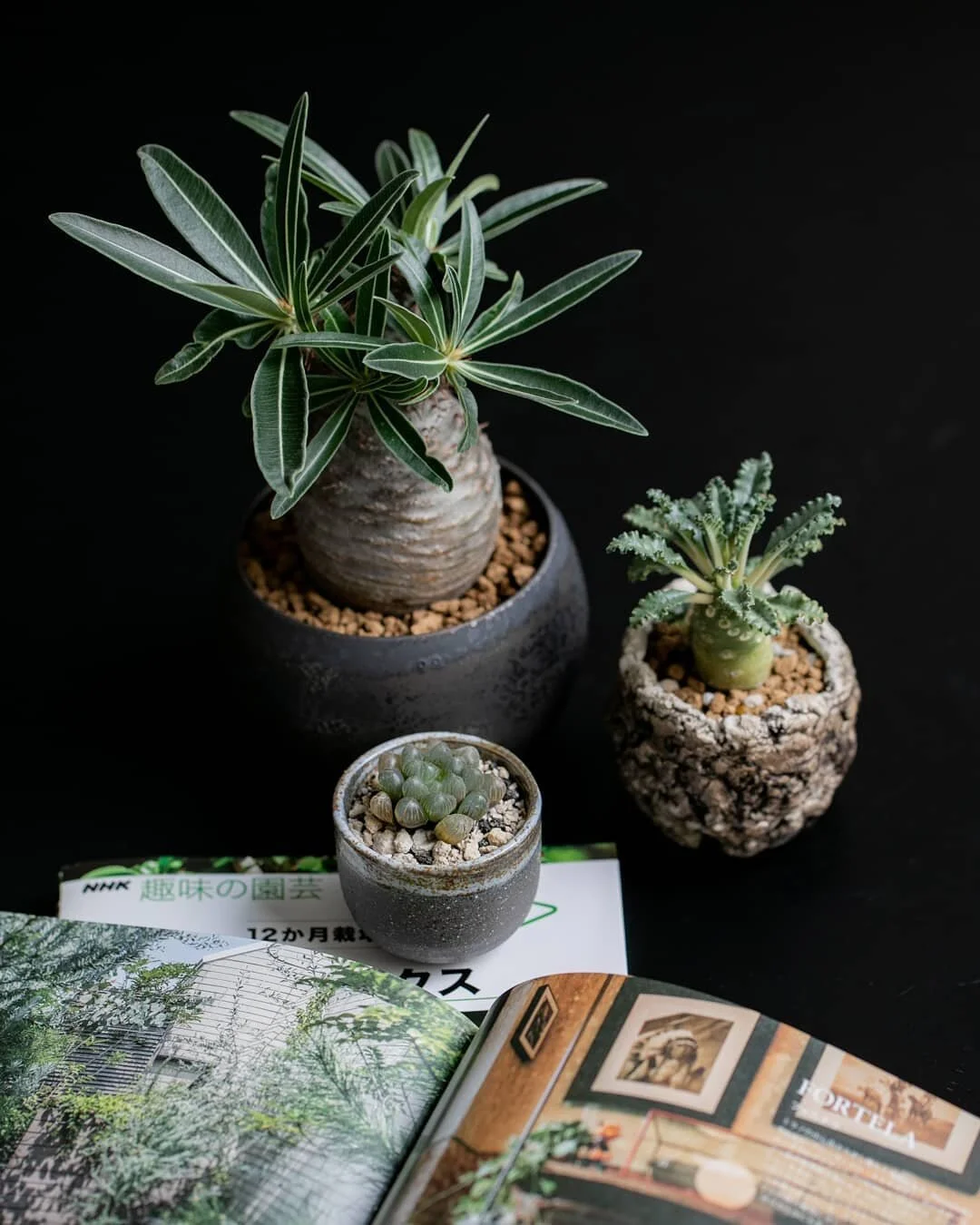 Photo Courtesy of Kultivar