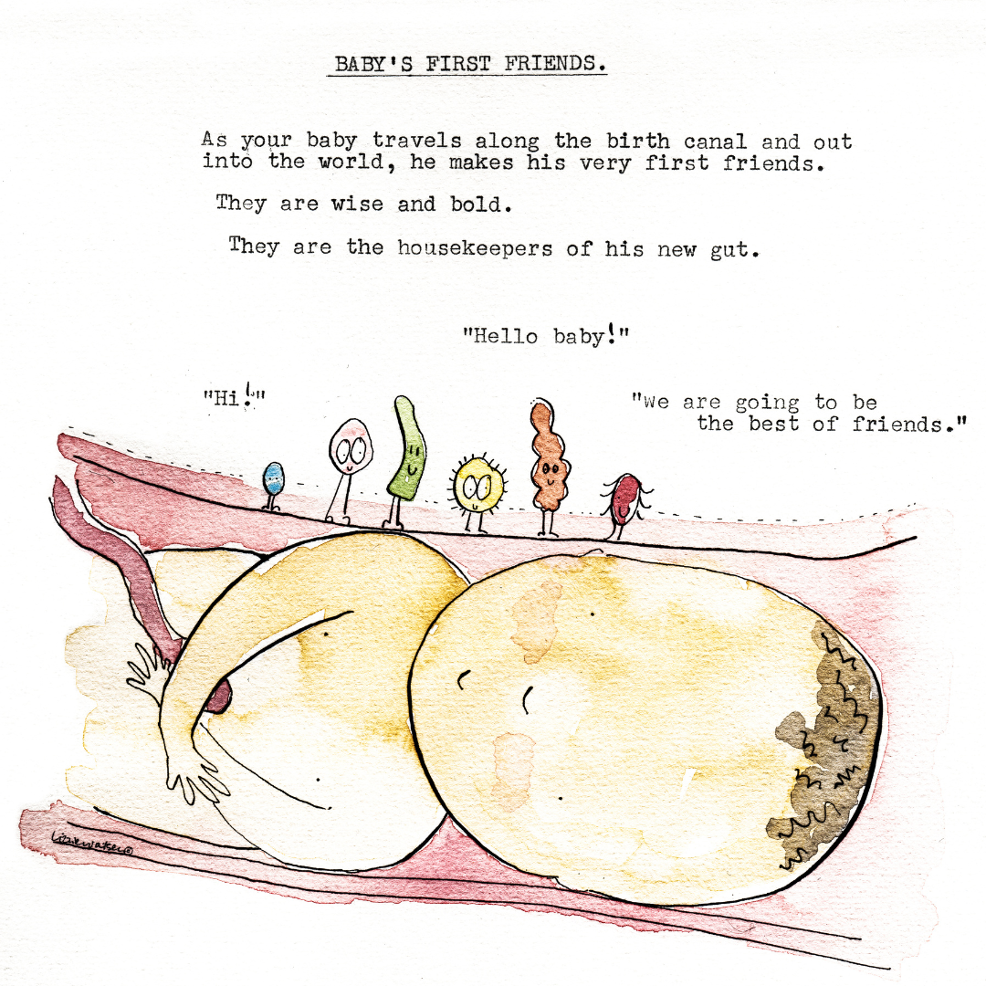 Growing Something Special – My Infant Microbiome Book