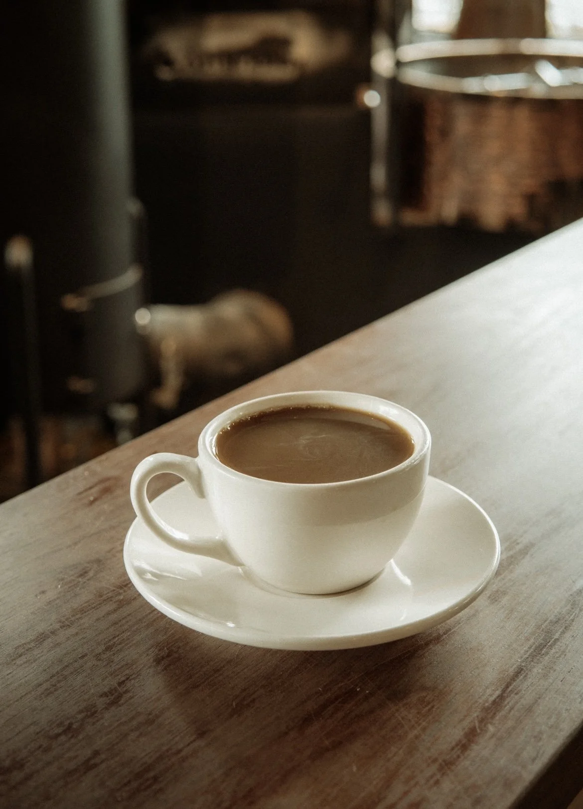 "Warm Invitation." A photo by Summer.