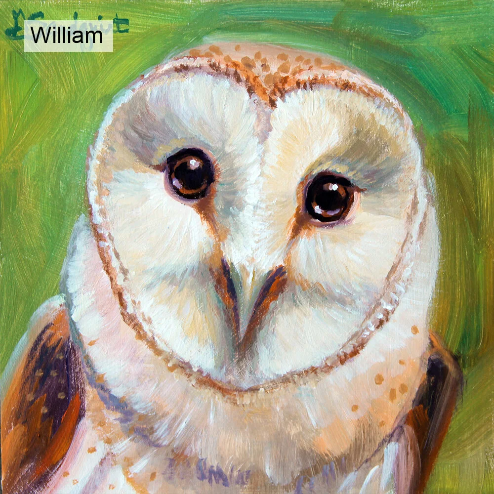 7 william.jpg