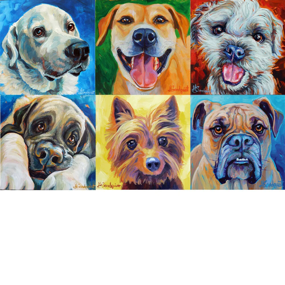 More Dog Portraits