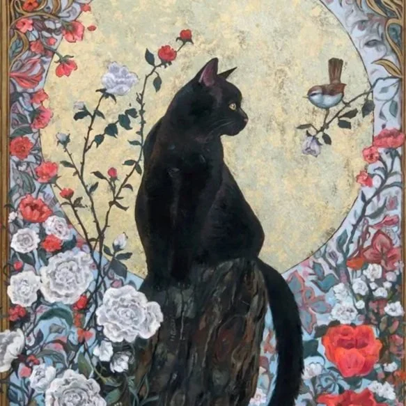 "Curiosity"