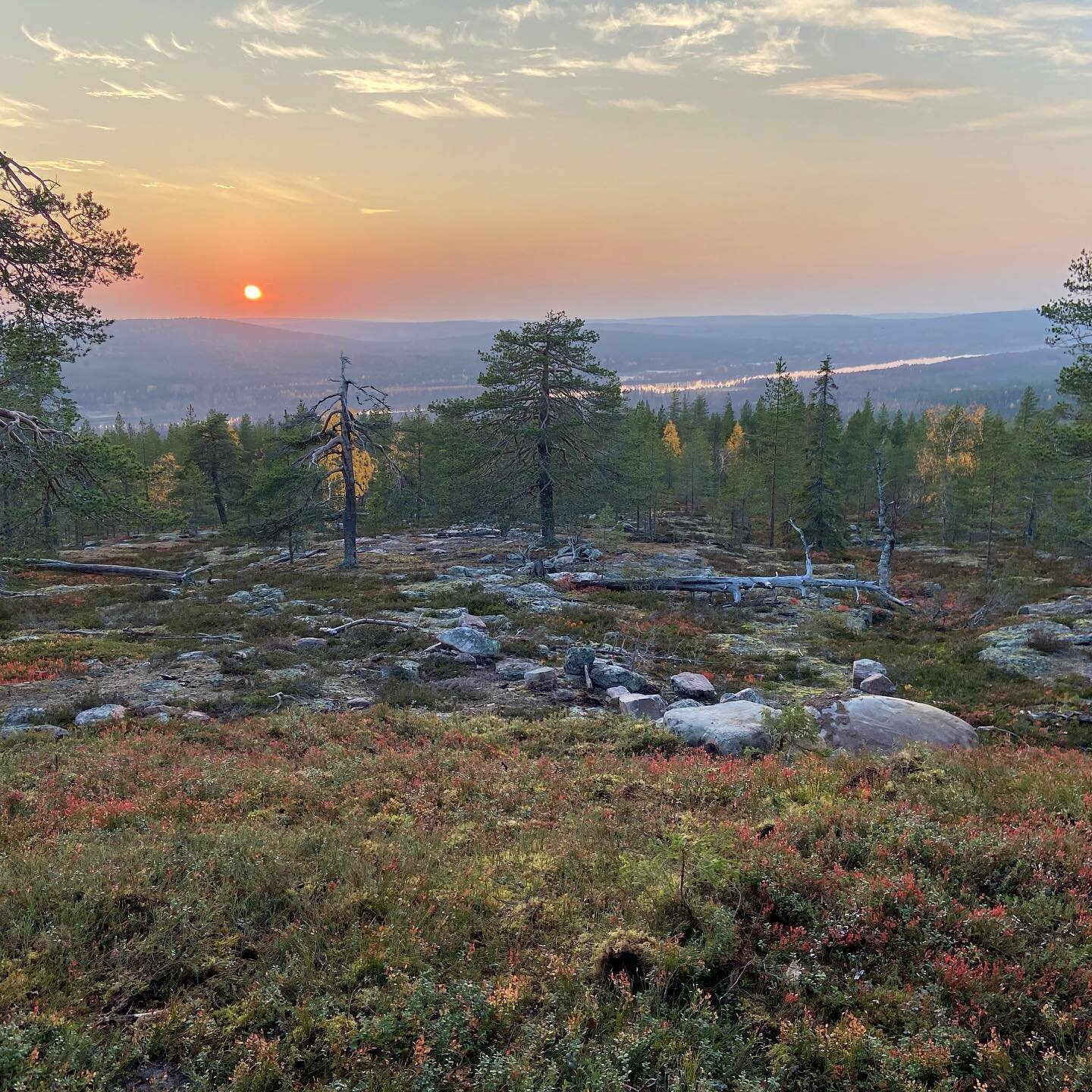 An autumnal sunset in the Arctic Circle just before the snow starts to fall and the whole of Lapland becomes a winter wonderland. 🍁🍂✨
.
.
.
.
#travel #lapland #arctic #arcticcircle #sunset #explore #wilderness #holiday #adventure