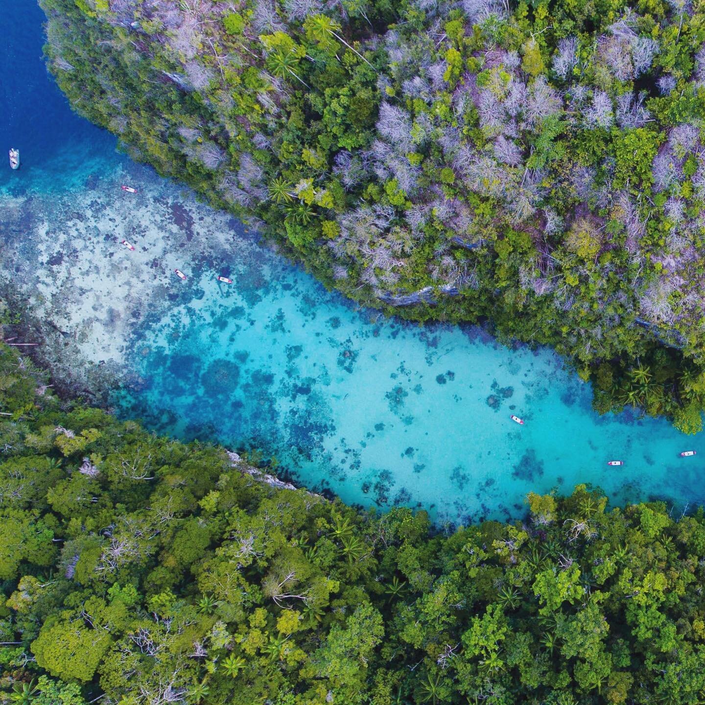 Dreaming of adventures and exploring on this grey winters morning. This is Raja Ampat, one of my all time favourite destinations. Raja Ampat is an Indonesian archipelago off the northwest tip of West Papua.

A hidden world full of colourful coral gar