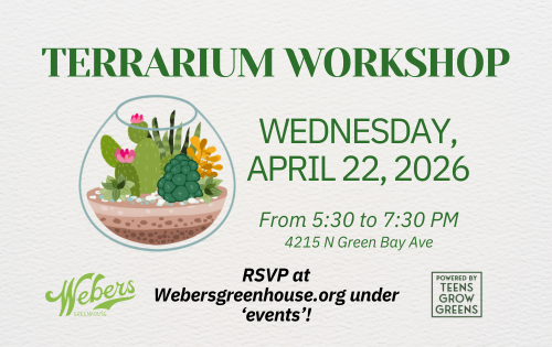 Terrarium Workshop