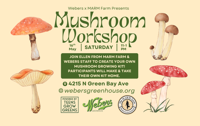 Mushroom Workshop