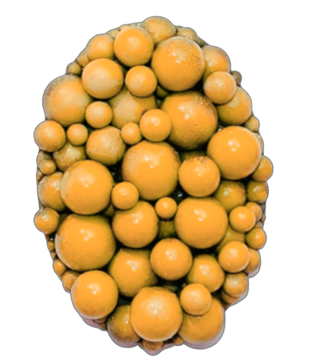 C70E3607-424B-4186-BCA6-25377A6BDCF9