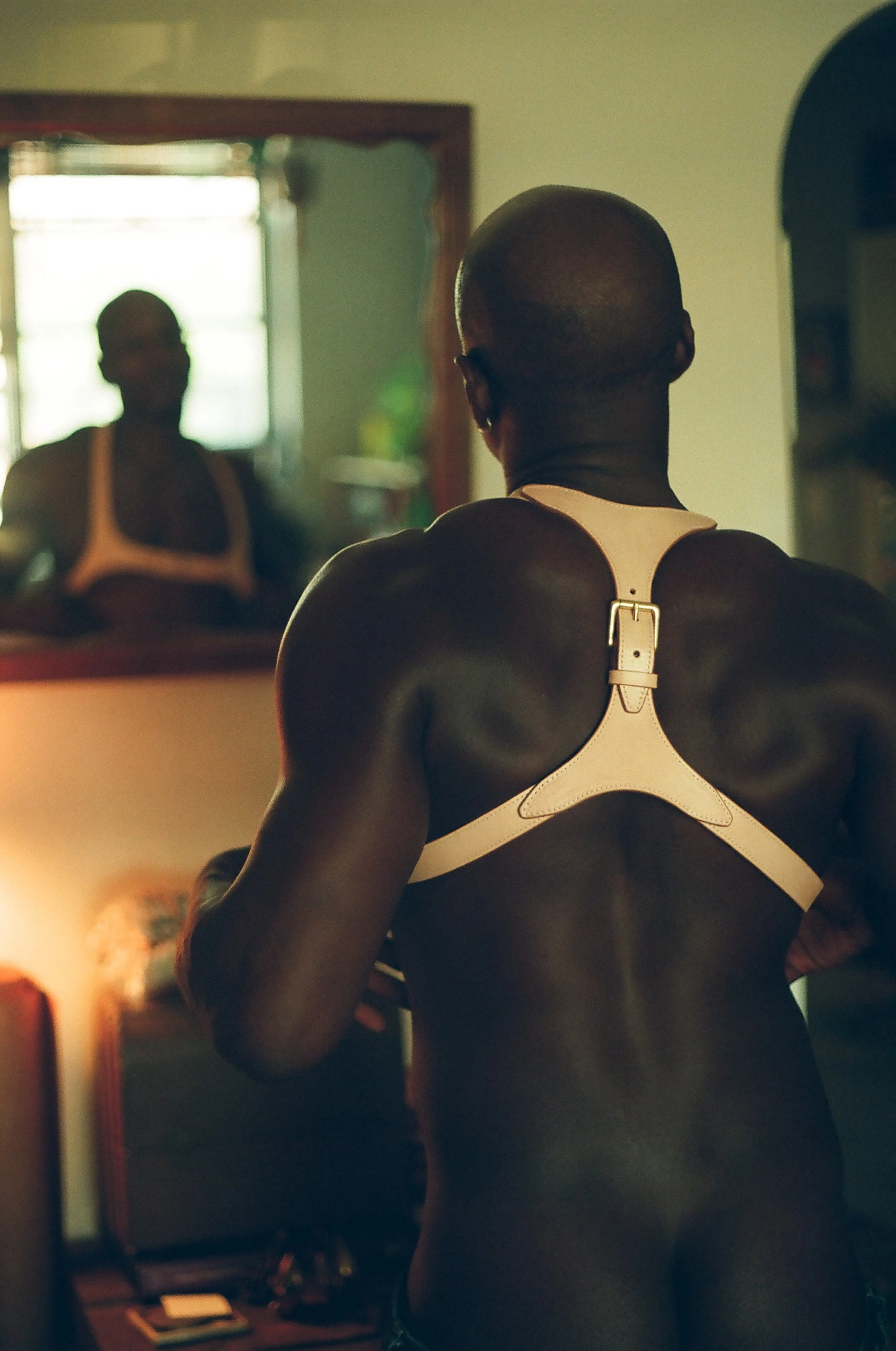 Der Leather Harness Collection