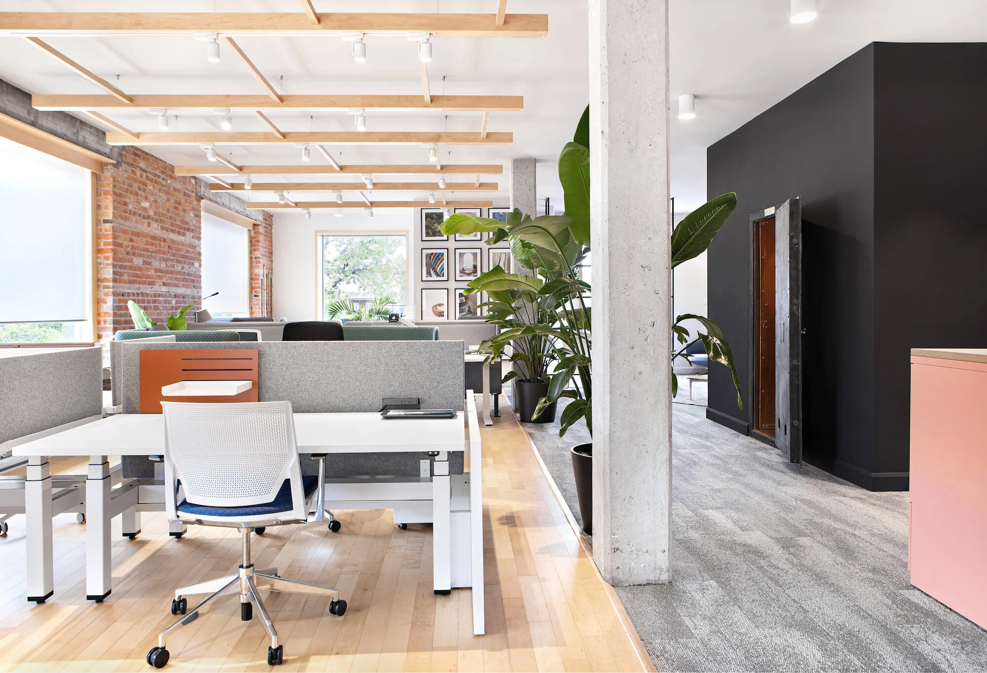 Consulis — Atelier Filz