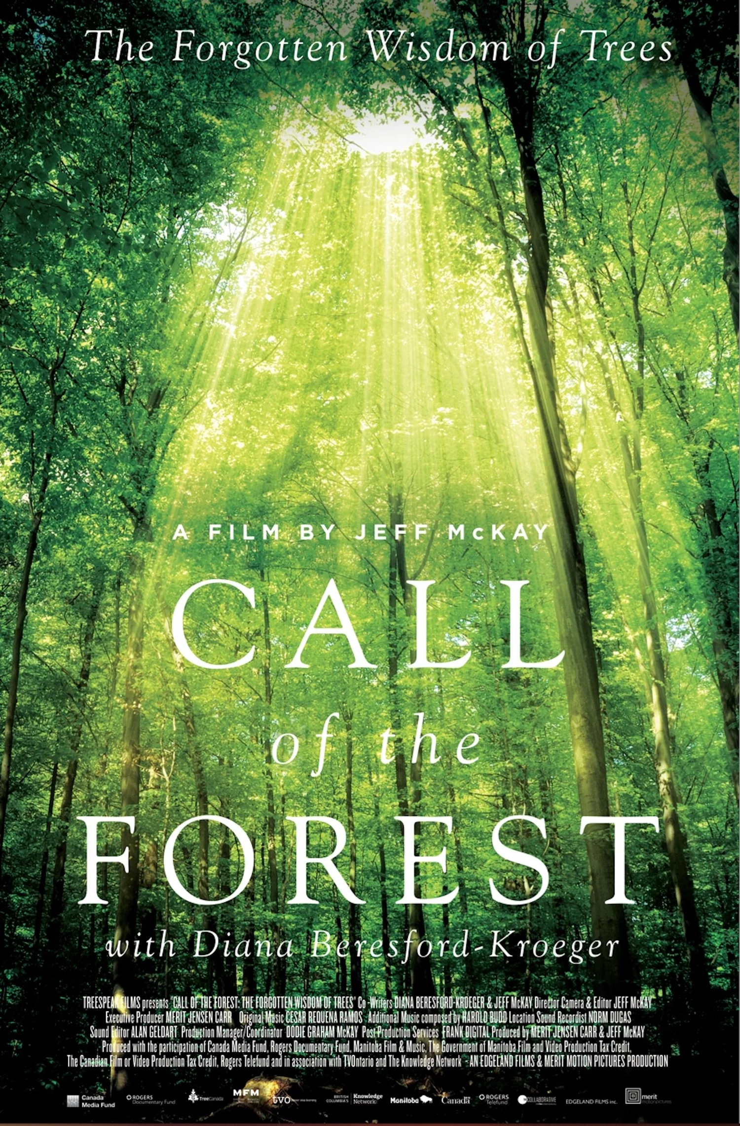 Call of the Forest: The Forgotten Wisdom of Trees