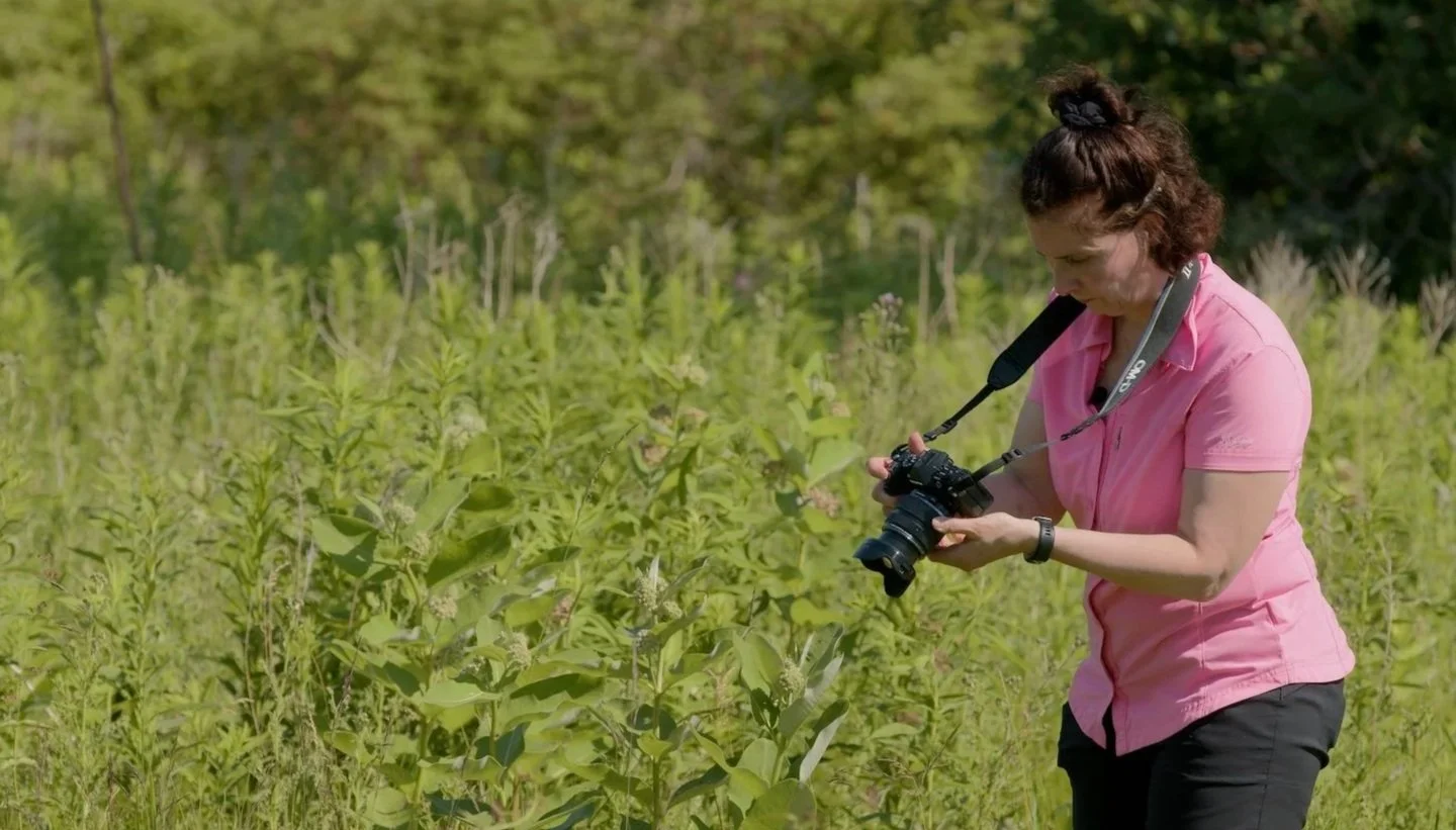 Antonia Guidotti is an insects and arachnids technician in the department of Natural History at the Royal Ontario Museum. 