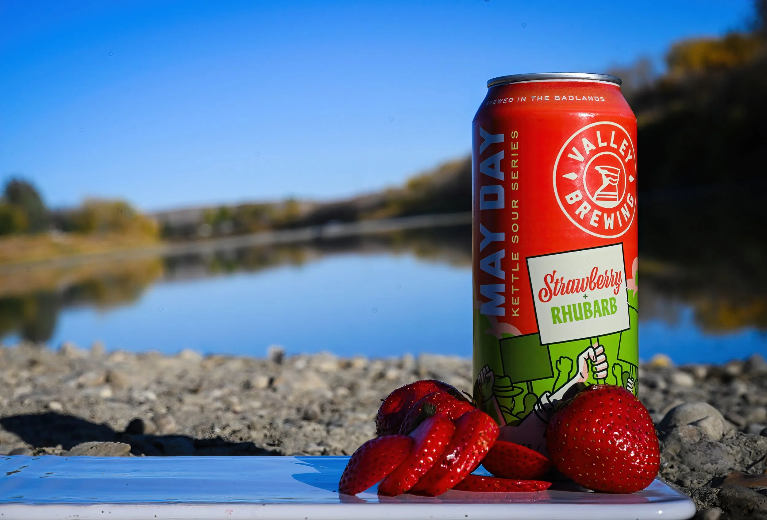 Valley Brewing Cans-22.JPG