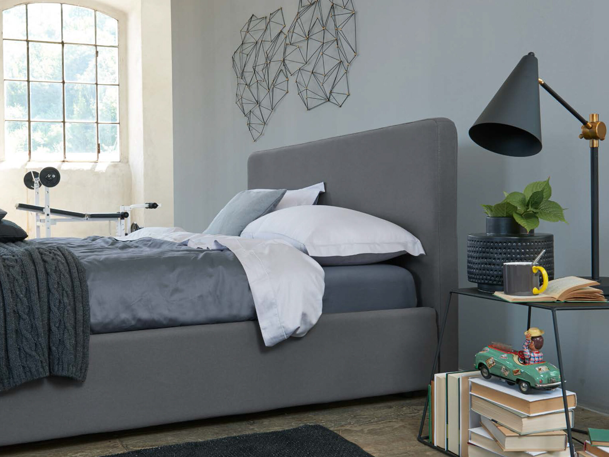 Cama DAILY