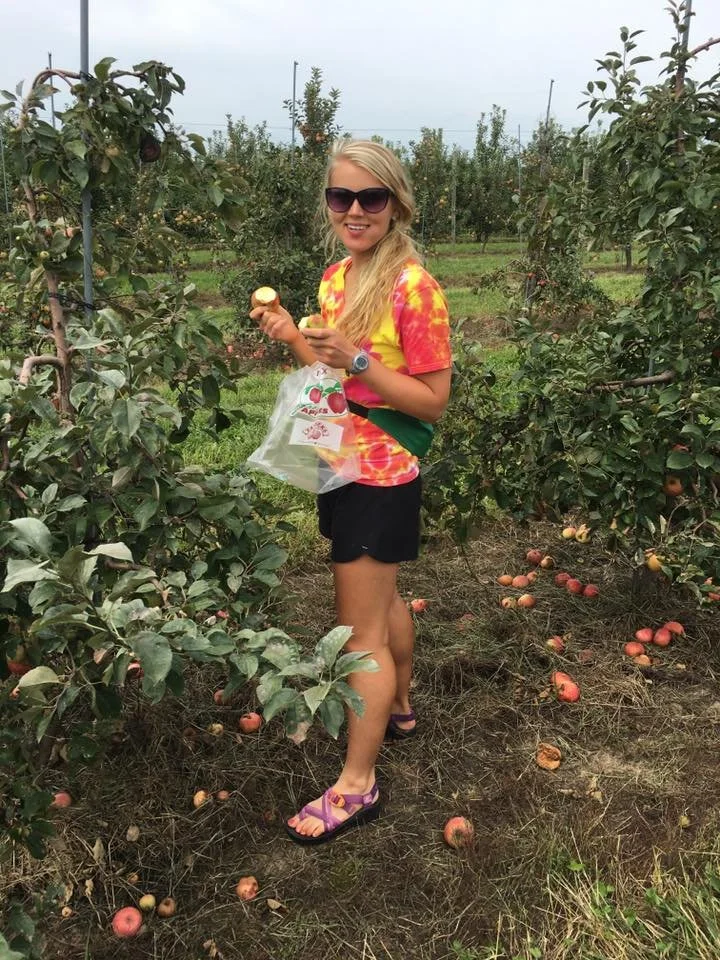 Apple orchard IL.jpg